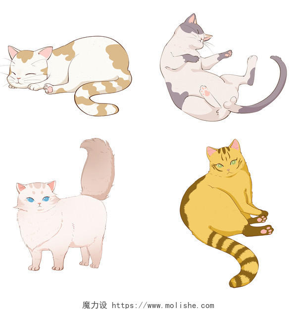 世界动物日手绘可爱写实描线风格动物宠物猫咪元素